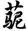 照片